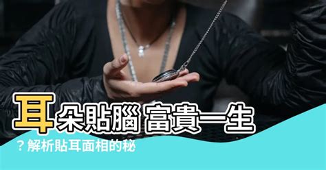 雙耳貼腦女|面相解析何為貼腦耳